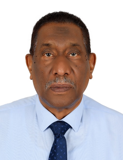 Prof. Ahmed Obeid Hassan
